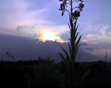 Am Abend vor dem Sturm / ***