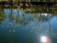 den Tag, als sie starb Frühling / ***