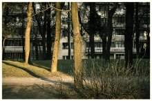 Warm psychedelischen Sonntag / ***
