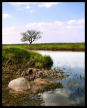 NATUR / ***
