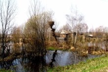Der Frühling ist gekommen / ***