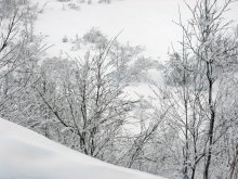 White. Winter in Murmansk. / ***