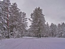 Winter's Tale / ***