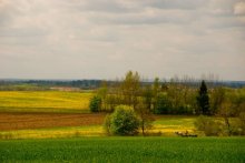 Ländliche Landschaften / ***