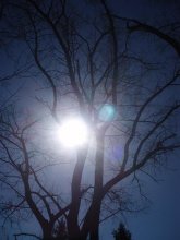 und die Sonne in das Netz zu erhalten / ***