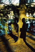 Schatten proshlogo1 / ***