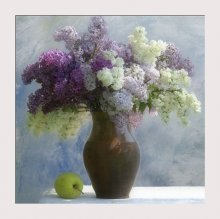 Apple-Lavendel ... / ***