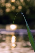 Solar Lampe / ***