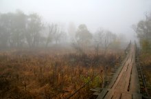 Zeit ist im Nebel versunken, wie ein verschlafenes dumm fliegen ... / ***