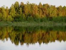 reflektierten / ***