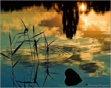 Tanz auf dem Wasser / ***