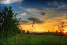 Field, die weißrussische Gebiet / ***