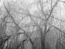 Der Tag wird sonnig ... / ***