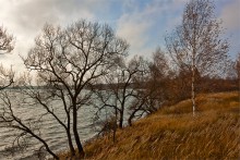 In dem Feld stand eine Birke / ******