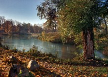 Autumn Blick auf den Teich Vittolovsky von Old Willow ... / ***