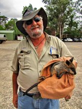 Einer der "Ozzie" + Wallaby / ***