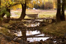 Herbst / ***