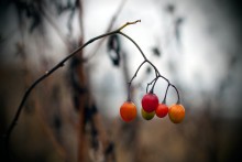 Taschenlampen / ******