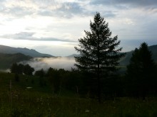 Nebel in der Altai-Gebirge / ***