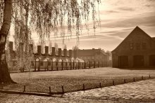 Auschwitz - Birkenau / ***