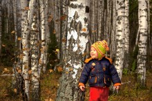 Herbstwald / ***