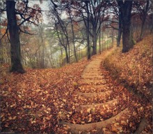 / ... Auf der Treppe ..../ / ***