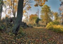 Autumn Blick auf die Altstadt Willow Pond in Vittolovskogo. : -) / ***