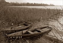 Slumber boat in the reeds / ***