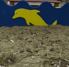 Belarussischen dolphin / ***