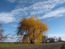 unter dem blauen Himmel / .........