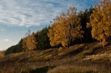 Bei Sonnenuntergang, Herbst / ***