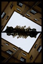 * Die Fenster in den Himmel * / ***