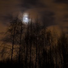 Nacht / ---