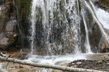 Wasserfall / ***