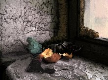 Vor dem Fenster / ***