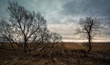 Landschaft im Busch / poka bez snega