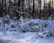 Wenn Schnee lag ... / ***