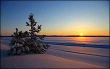 Winter in Finnland. / ***