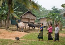 In der laotischen Dorf Nummer 6 / ***