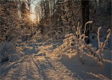 Secrets of the Winterwald / ----- ------ -------
