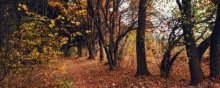 Herbst-Wanderungen entlang der Ränder der / ***************