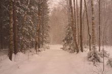 Neu gefallener Schnee / ******************