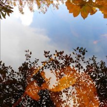 Reflexion von Herbst auf dem Ort / ***