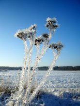 Silber Bouquet von Winter / ***