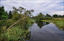 Bewölkt Landschaft im ländlichen Raum / .....