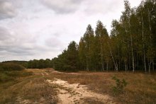 Das September-Landschaft / __________________________*