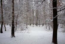 Winter-Grove ... / http://www.youtube.com/watch?v=fSXhvRQ9glY&amp;feature=related