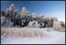 Verlegen Sie die Schnee von gestern / ***