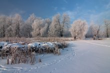 Geschenke vom Weihnachtsmann / ***