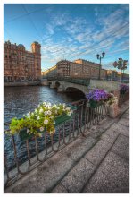 Concrete and flowers / HDR